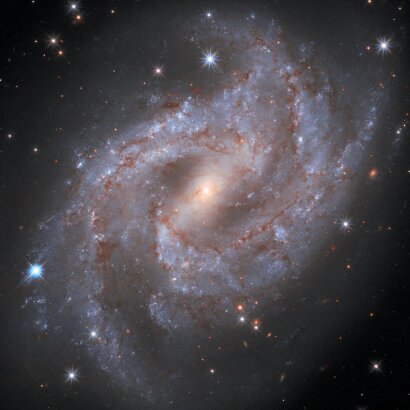 Spiral Galaxy